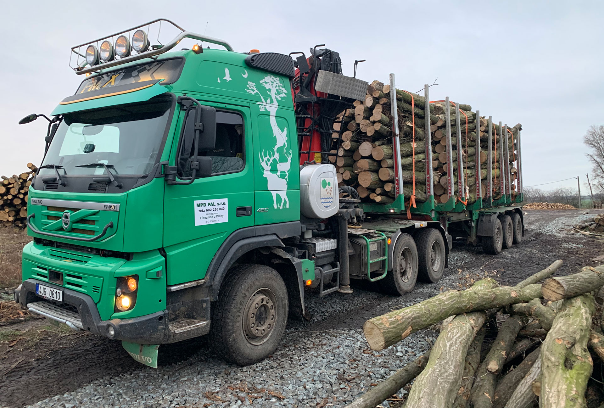 kamionová doprava dřeva - naložený kamion dřevem